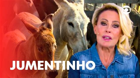 Ana Maria Braga descobre o bardoto: filhote de cavalo com。